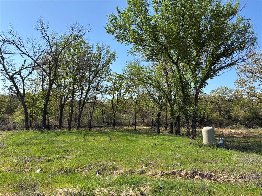 1031 Akin Road Poolville, TX 76487 - Photo 3 of 9 a backyard of a house with lots of green space