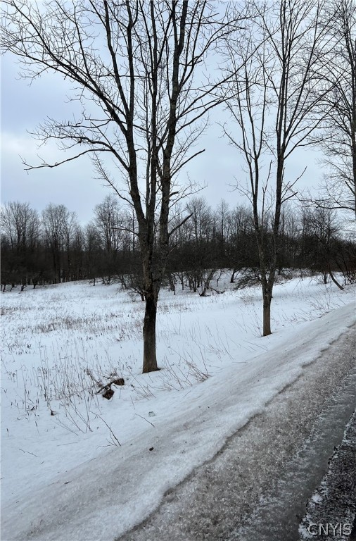 0 State Route 274 Remsen, NY 13438 - Photo 2 of 6