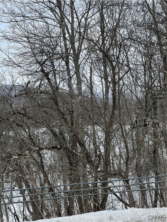 0 State Route 274 Remsen, NY 13438 - Photo 3 of 6