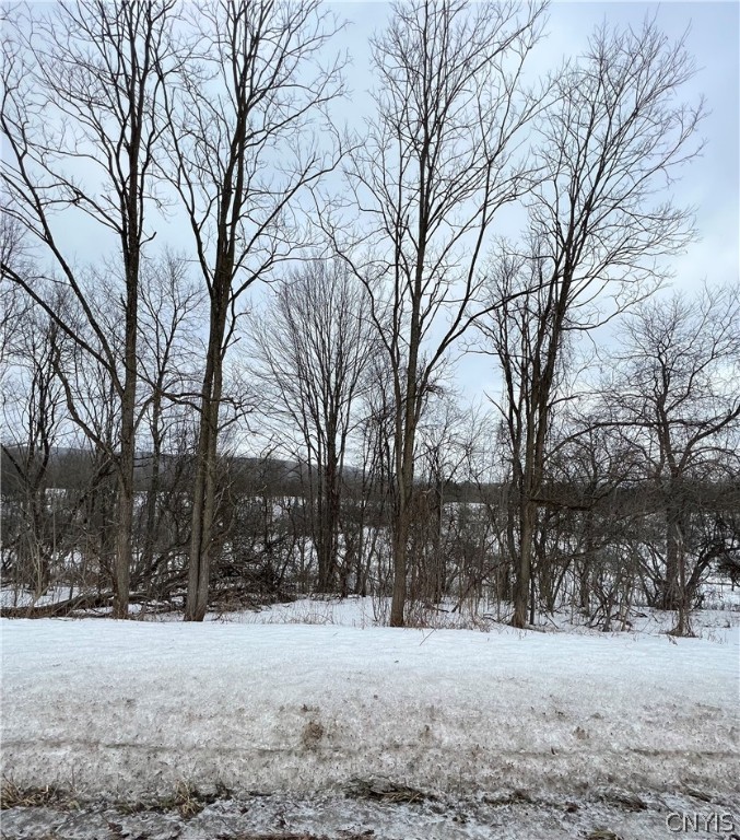 0 State Route 274 Remsen, NY 13438 - Photo 4 of 6