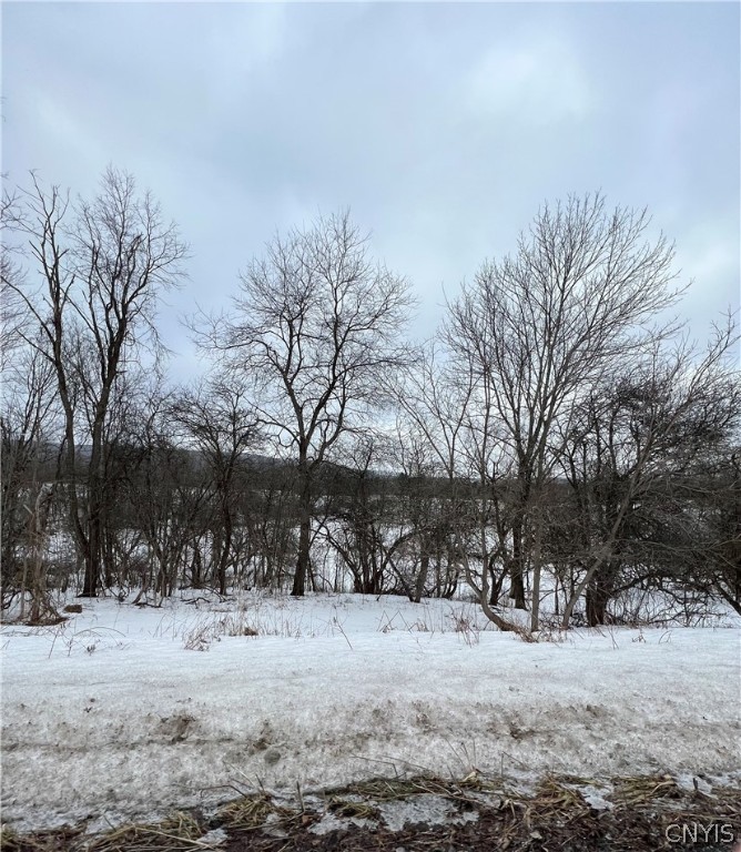 0 State Route 274 Remsen, NY 13438 - Photo 5 of 6