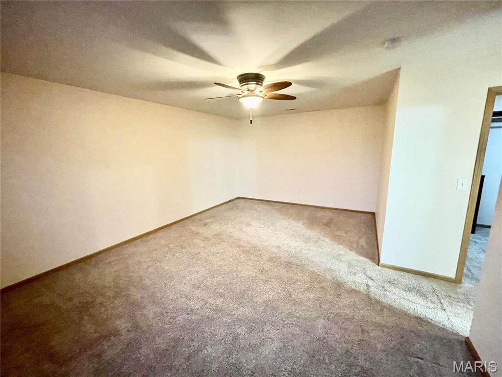 308 Falling Leaf Way Mascoutah, IL 62258 - Photo 30 of 64