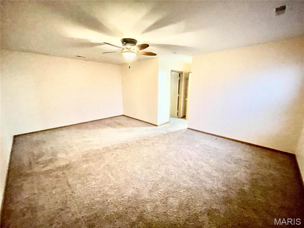 308 Falling Leaf Way Mascoutah, IL 62258 - Photo 32 of 64