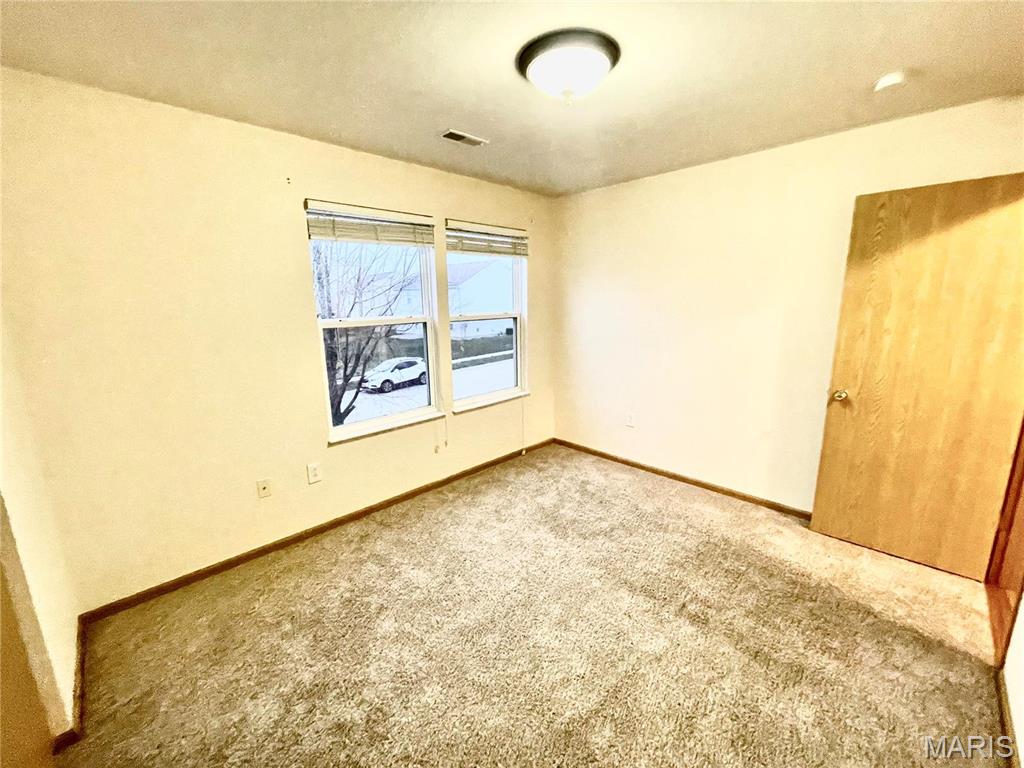 308 Falling Leaf Way Mascoutah, IL 62258 - Photo 42 of 64