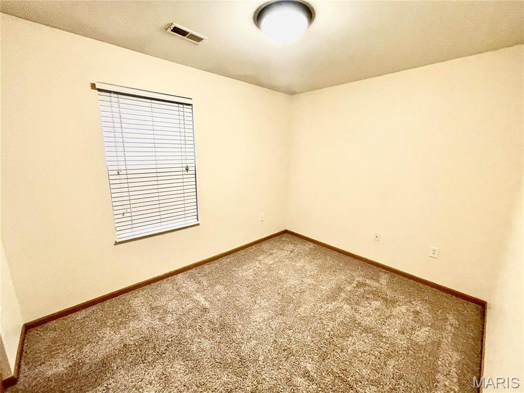 308 Falling Leaf Way Mascoutah, IL 62258 - Photo 47 of 64