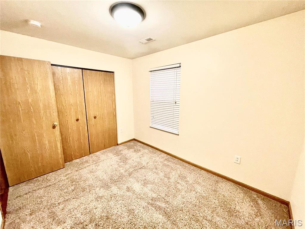 308 Falling Leaf Way Mascoutah, IL 62258 - Photo 49 of 64