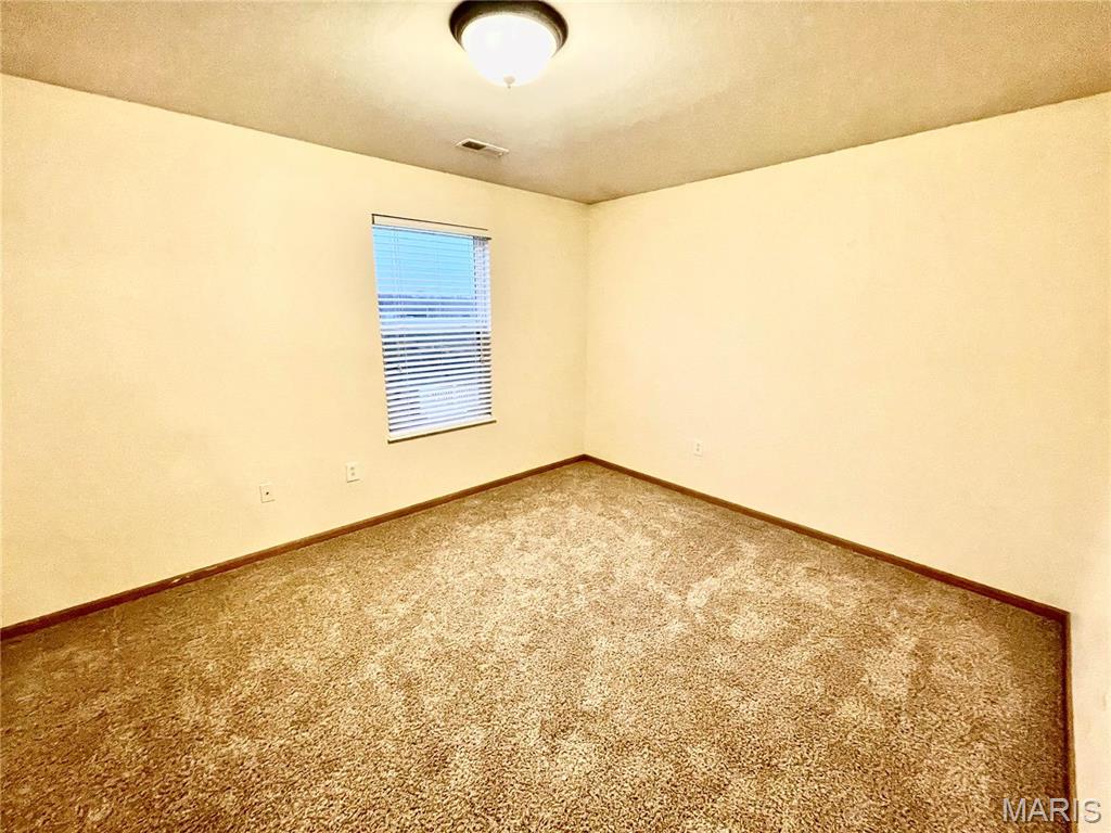 308 Falling Leaf Way Mascoutah, IL 62258 - Photo 54 of 64