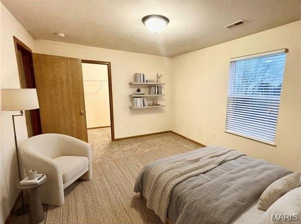 308 Falling Leaf Way Mascoutah, IL 62258 - Photo 55 of 64