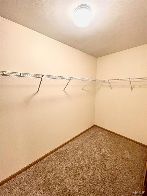 308 Falling Leaf Way Mascoutah, IL 62258 - Photo 60 of 64