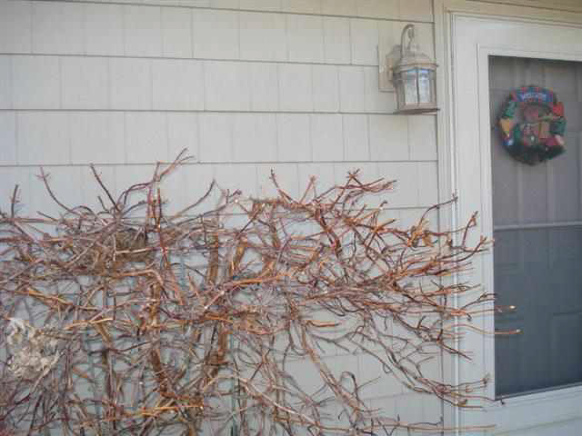 6713 East Rainey Road North Syracuse, IN 46567 - Photo 4 of 23 Gallery Image 4