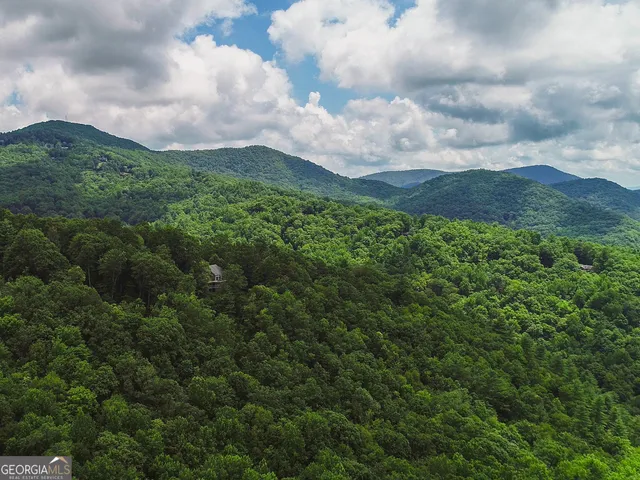 a view of a lot of trees and mountain