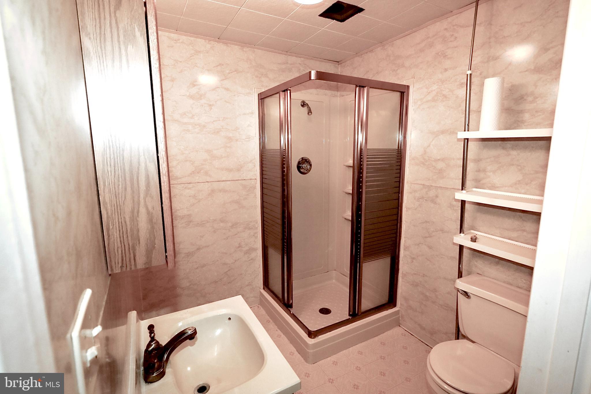 257 Valley Road Birdsboro, PA 19508 - Photo 15 of 72 FOR BATH WITH SHOWER STALL