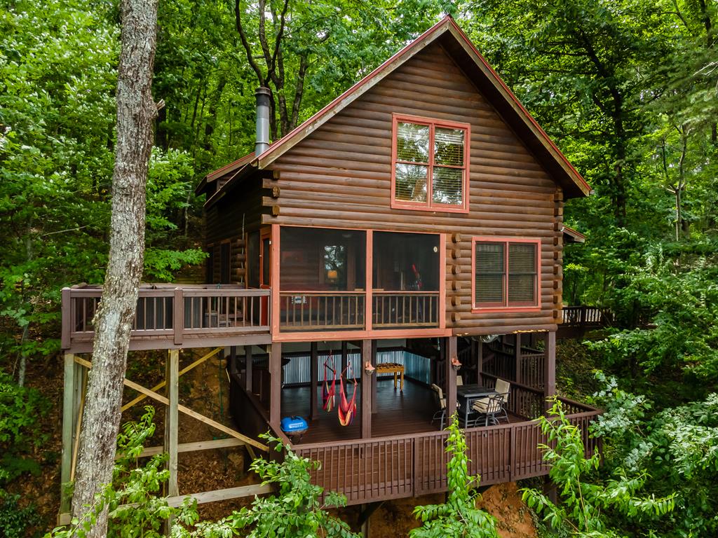 54 Ascherman Court Blue Ridge, GA 30513 - Photo 1 of 48 Main View