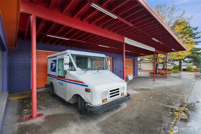 a view of a yard with plants and a tree