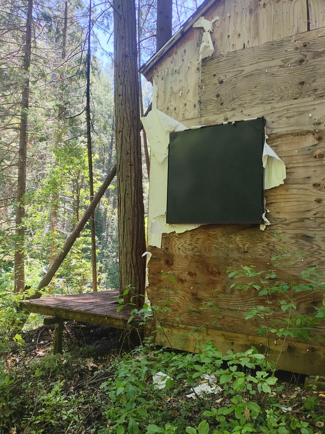 18290 Backwoods Road Nevada City, CA 95959 - Photo 19 of 24