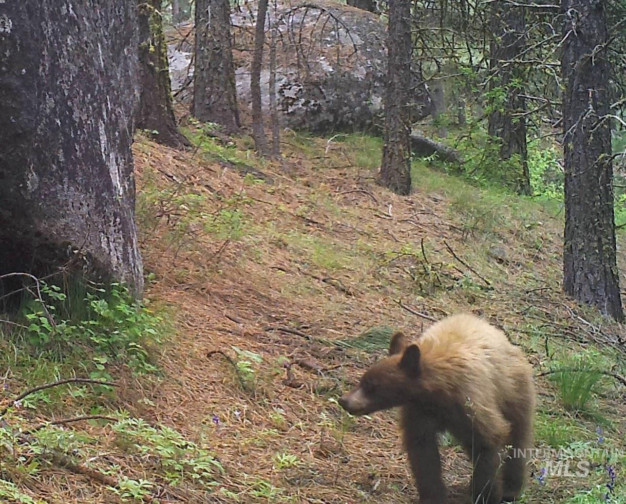 L16-b1 Lantern Way Cascade, ID 83611 - Photo 28 of 32