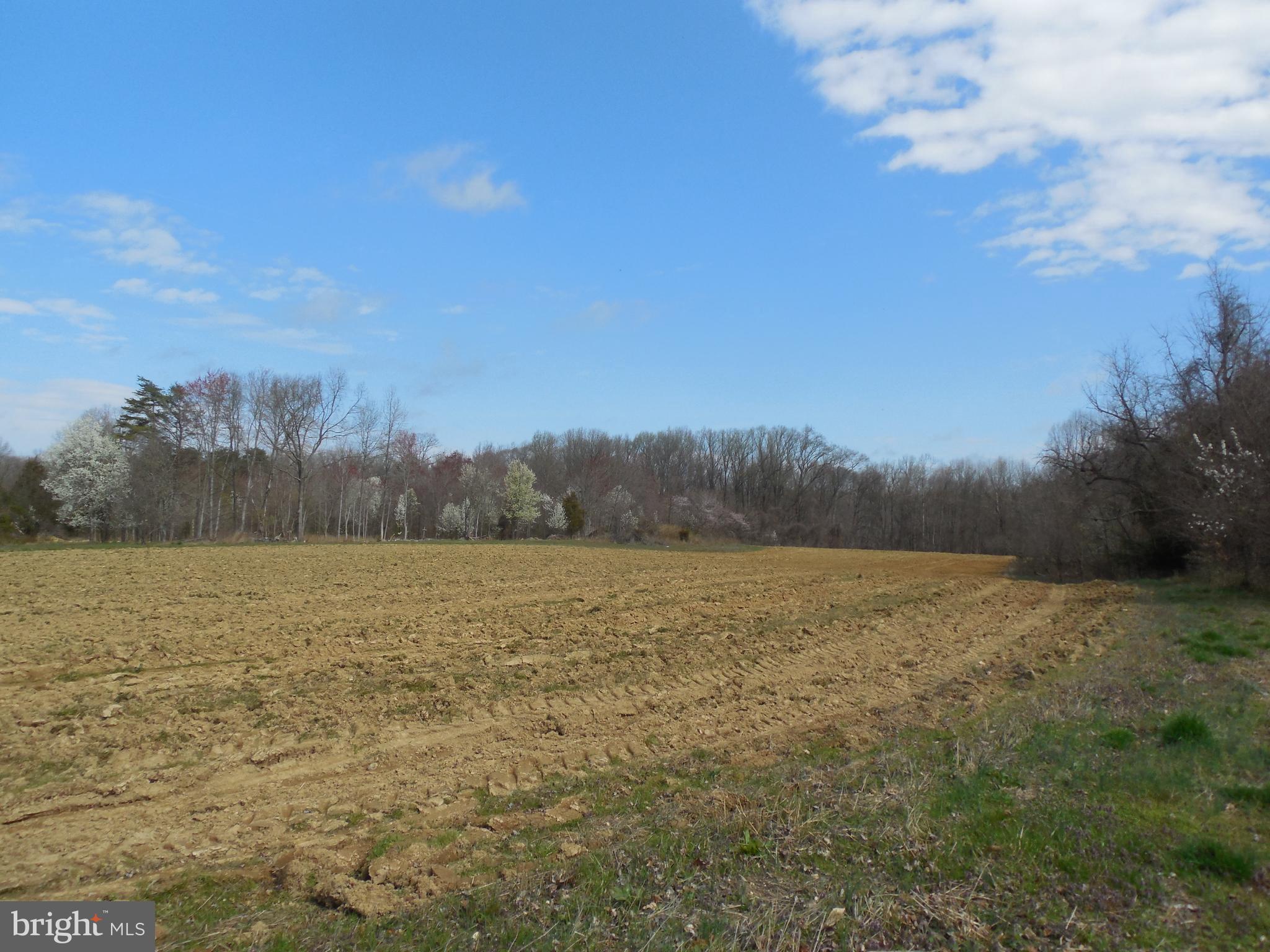 11400 Tippett Road Clinton, MD 20735 - Photo 28 of 36 Farm field