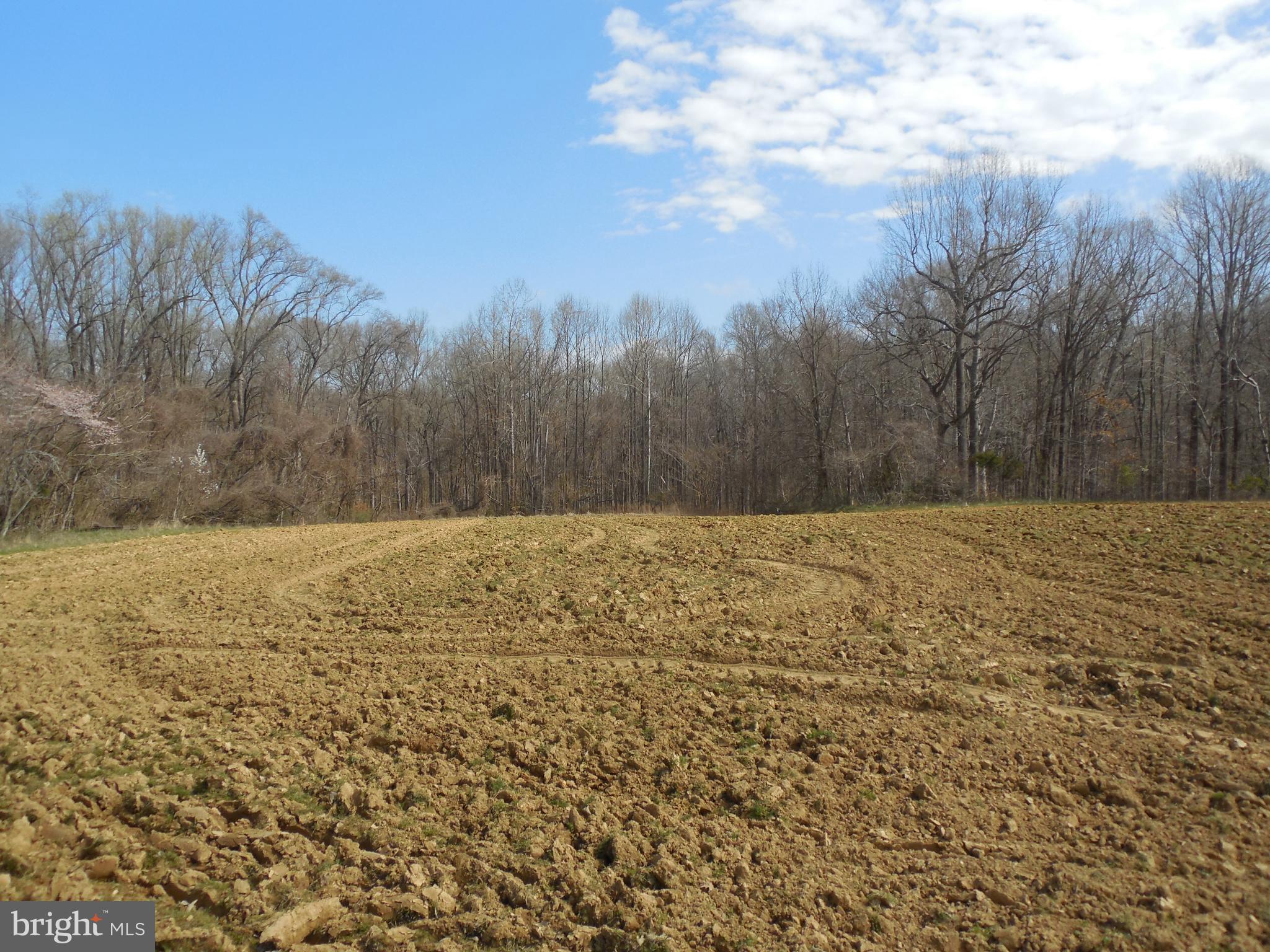 11400 Tippett Road Clinton, MD 20735 - Photo 33 of 36 Property extends into the tree line w/stream