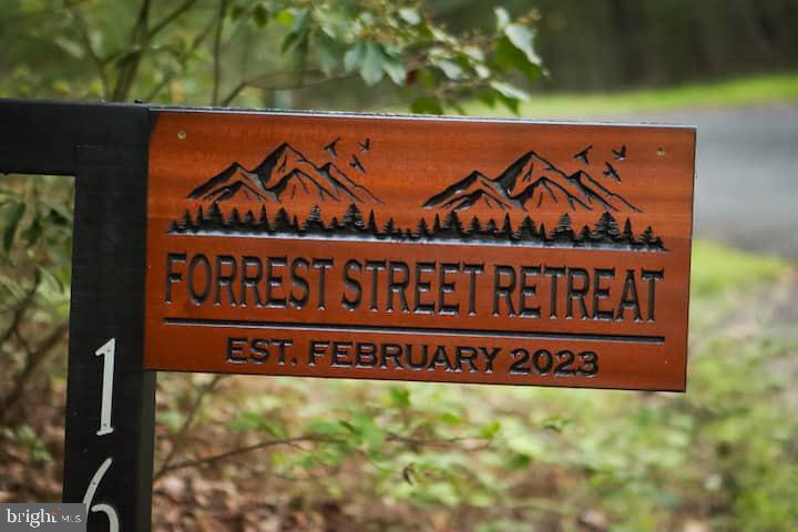 162 Forrest Street Basye, VA 22810 - Photo 39 of 50