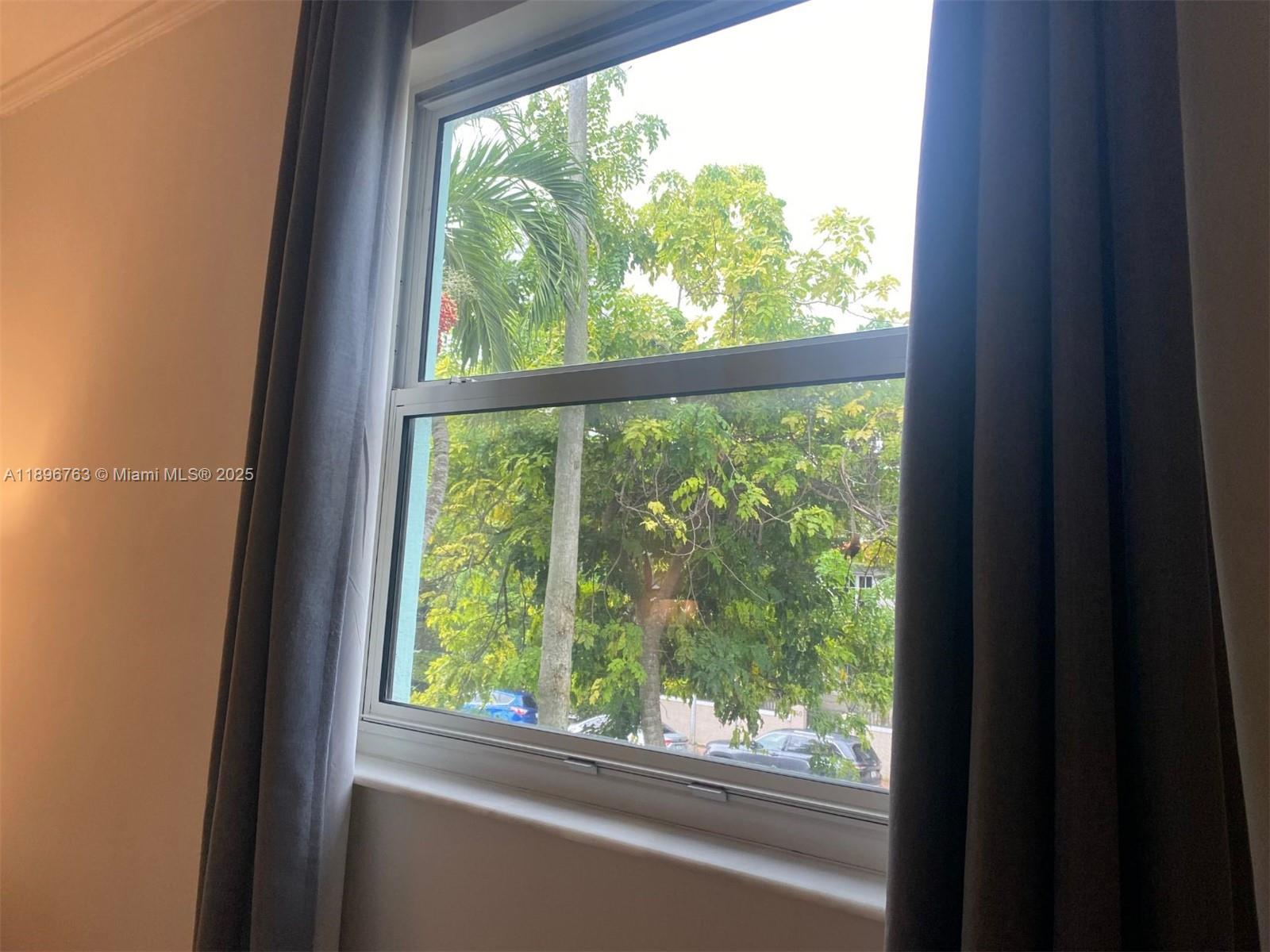 753 Michigan Avenue, Unit 2B Miami Beach, FL 33139 - Photo 17 of 22 a view of a garden from a window