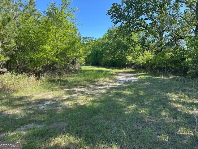 a view of outdoor space and yard