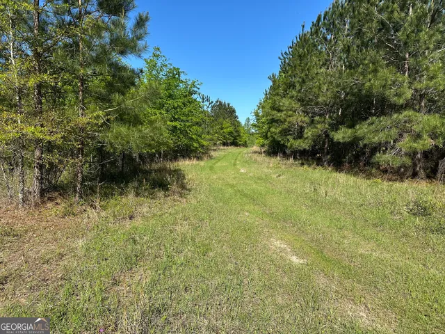 a view of a yard with plants and a trees