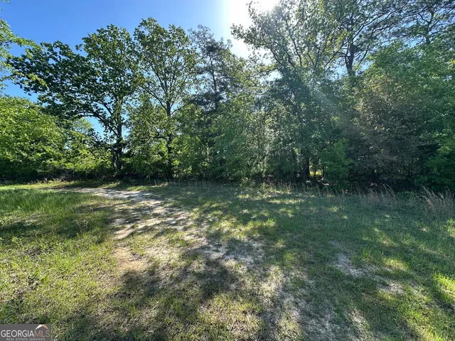 $775,000 | 208 Oak Grove Lane, Sylvania, GA 30467