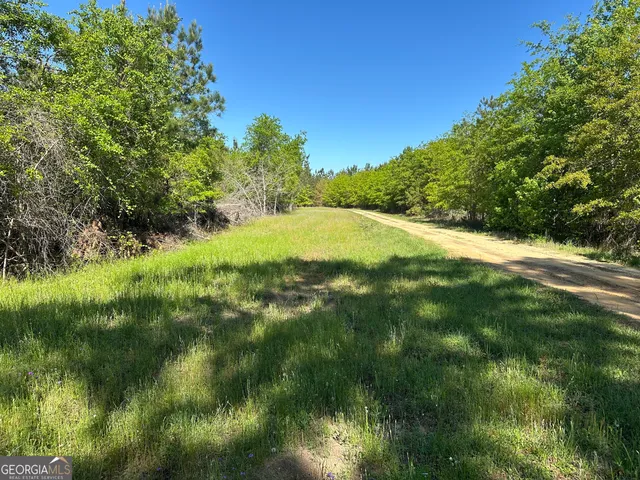 $775,000 | 208 Oak Grove Lane, Sylvania, GA 30467