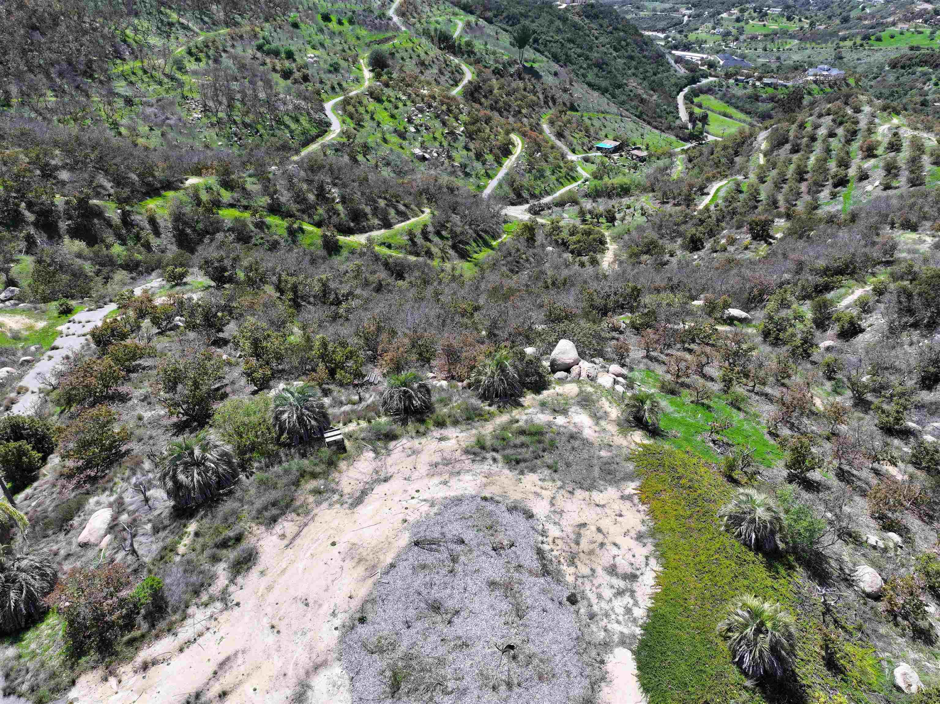 2339 Green Valley Road Fallbrook, CA 92028 - Photo 3 of 8 a view of a yard with plants and tree