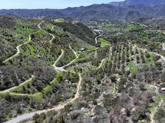 a view of a lush green hillside and houses