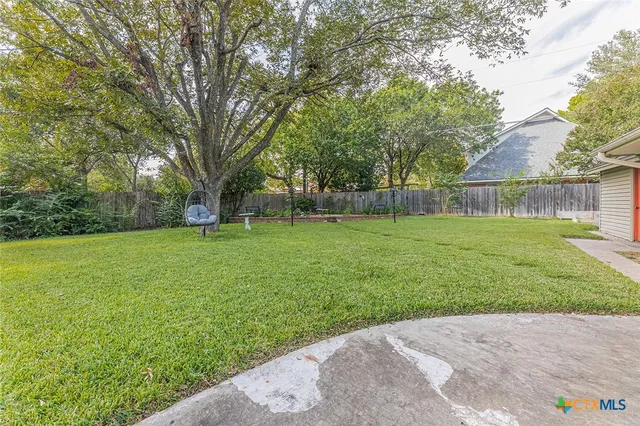 a view of a park with large trees