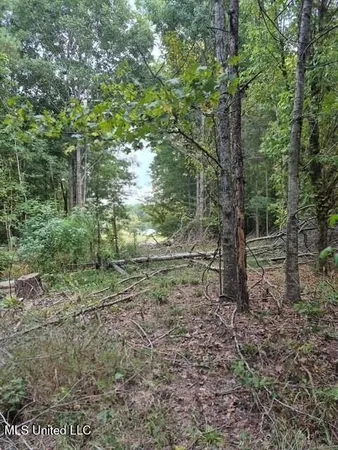 $45,000 | Lake View Drive, Yazoo City, MS 39194