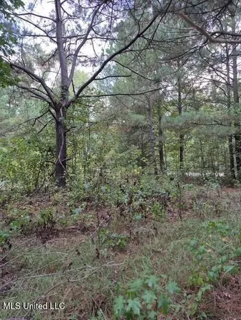$45,000 | Lake View Drive, Yazoo City, MS 39194