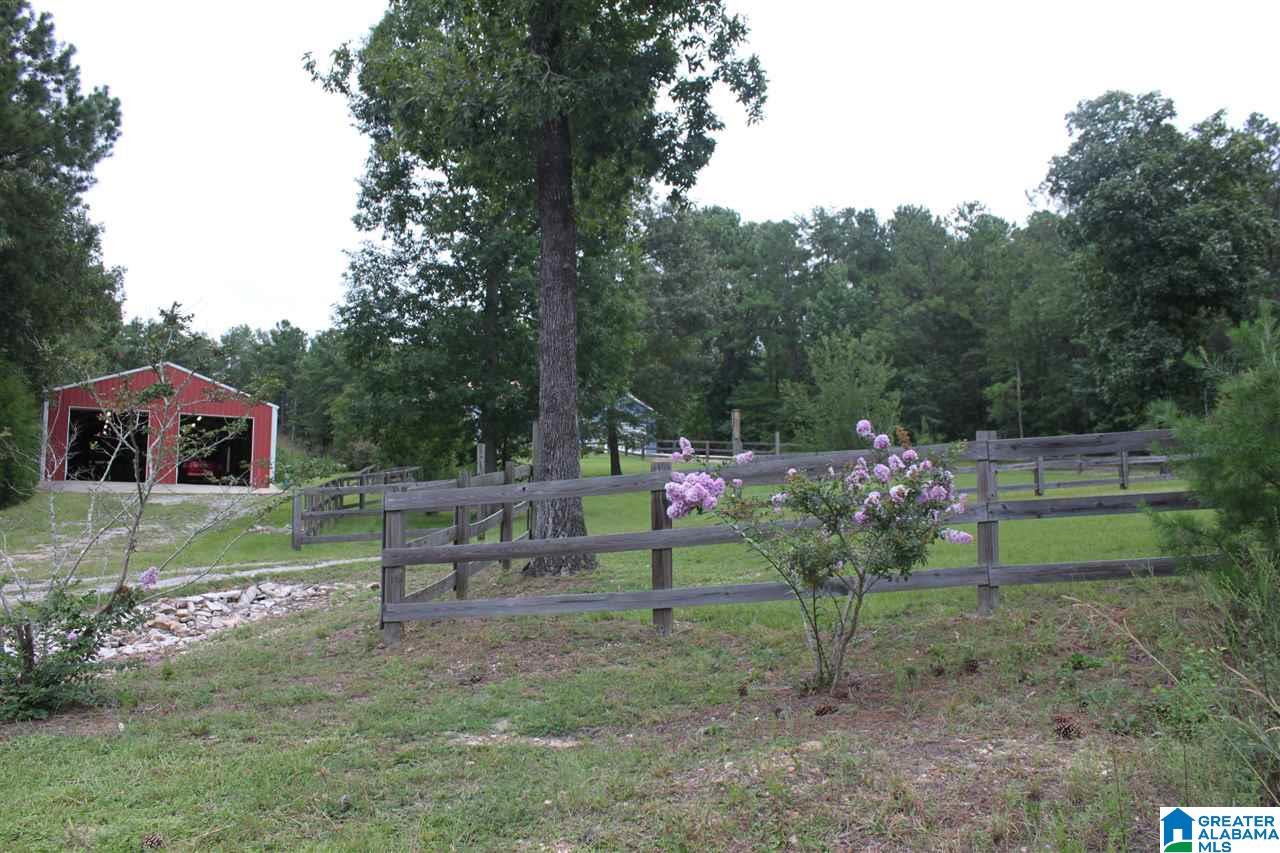 592 County Road 43 Clanton, AL 35046 - Photo 20 of 30