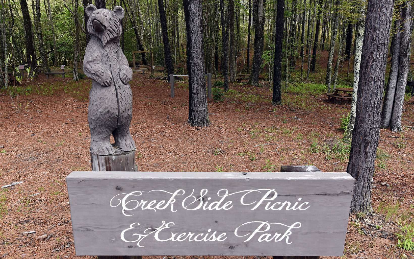 62 Ridge Peak View Blairsville, GA 30512 - Photo 19 of 39 Additional View