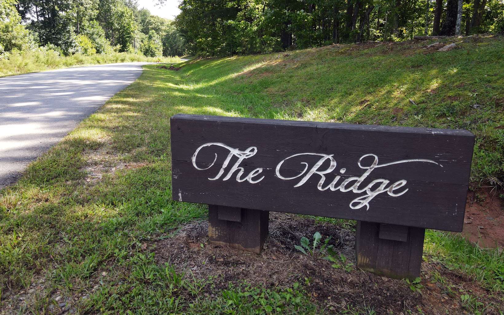 62 Ridge Peak View Blairsville, GA 30512 - Photo 5 of 39 Additional View