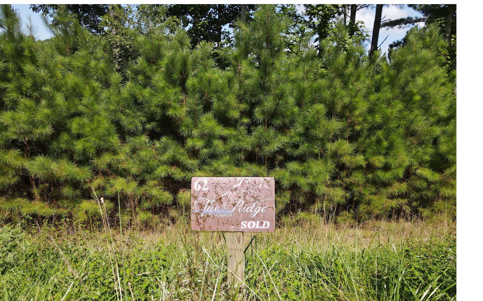 62 Ridge Peak View Blairsville, GA 30512 - Photo 6 of 39 Additional View