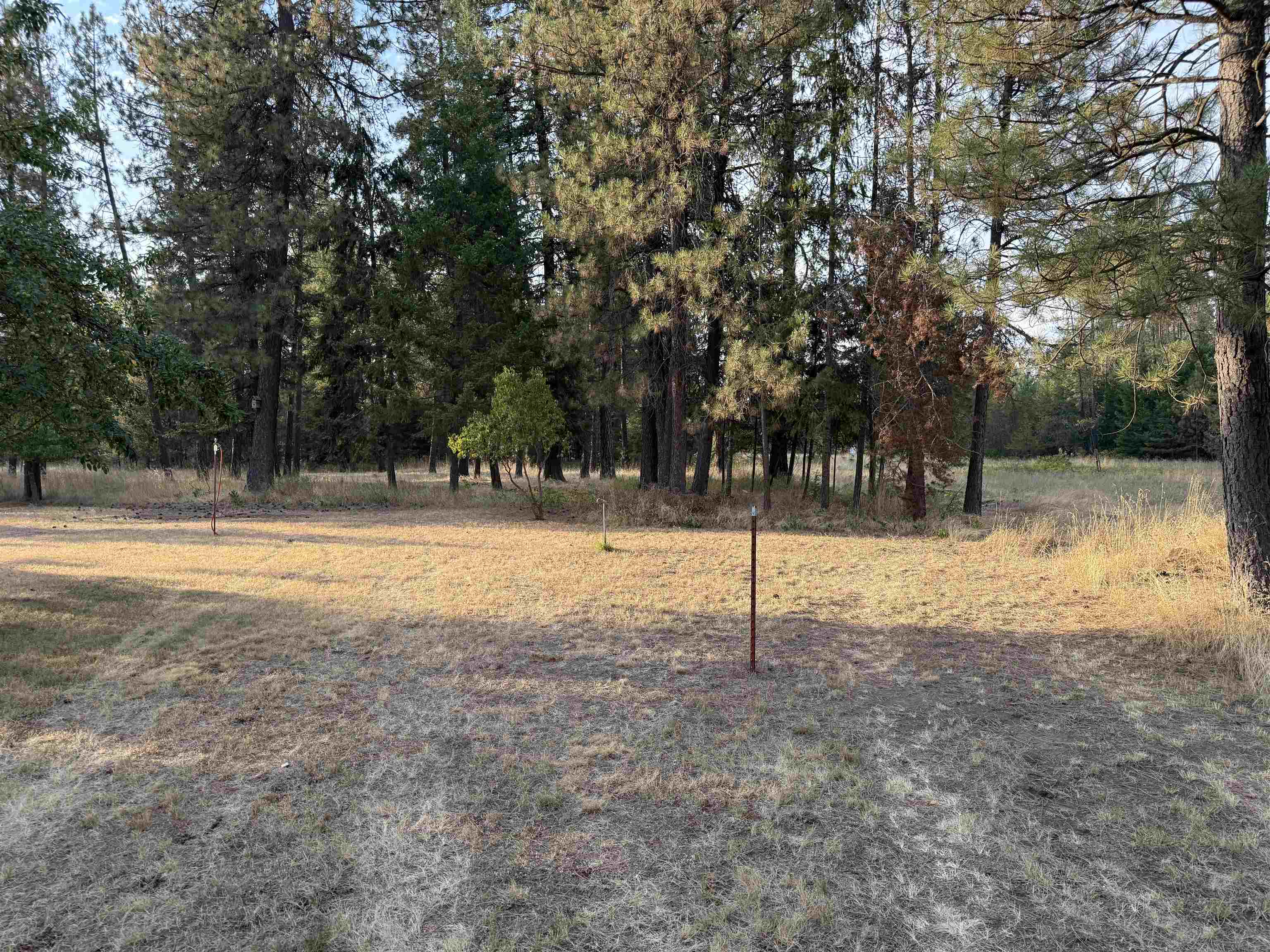 3824 Powers Road Loon Lake, WA 99148 - Photo 30 of 30 Gallery Image 30