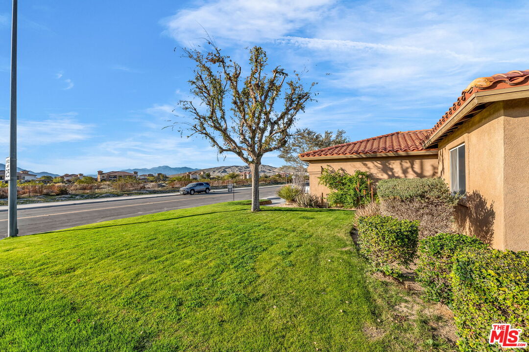 30940 Robert Road Thousand Palms, CA 92276 - Photo 5 of 48 a view of a garden