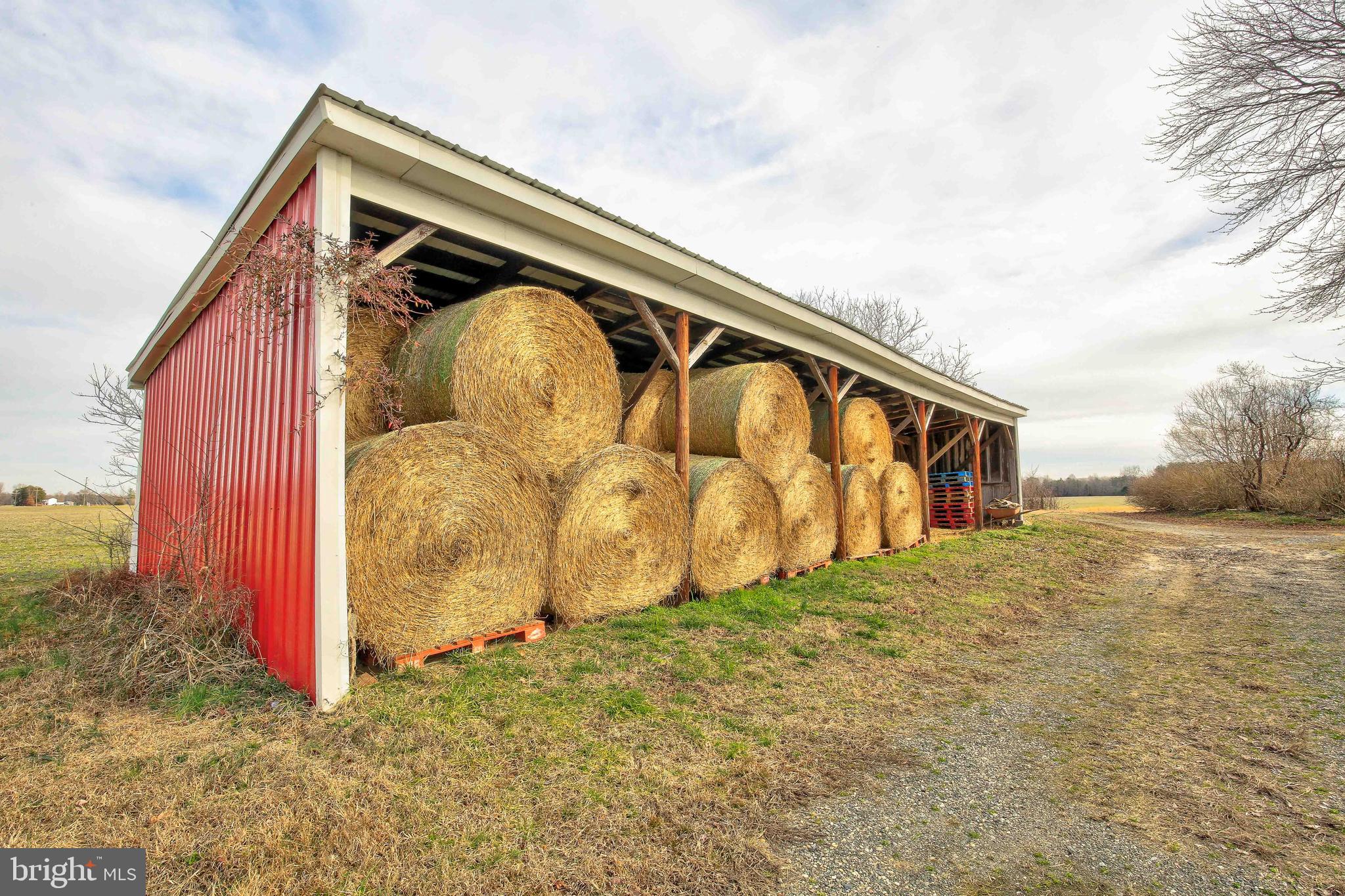 25208 Jerusalem Road Milford, VA 22514 - Photo 42 of 58 Large Storage Shed