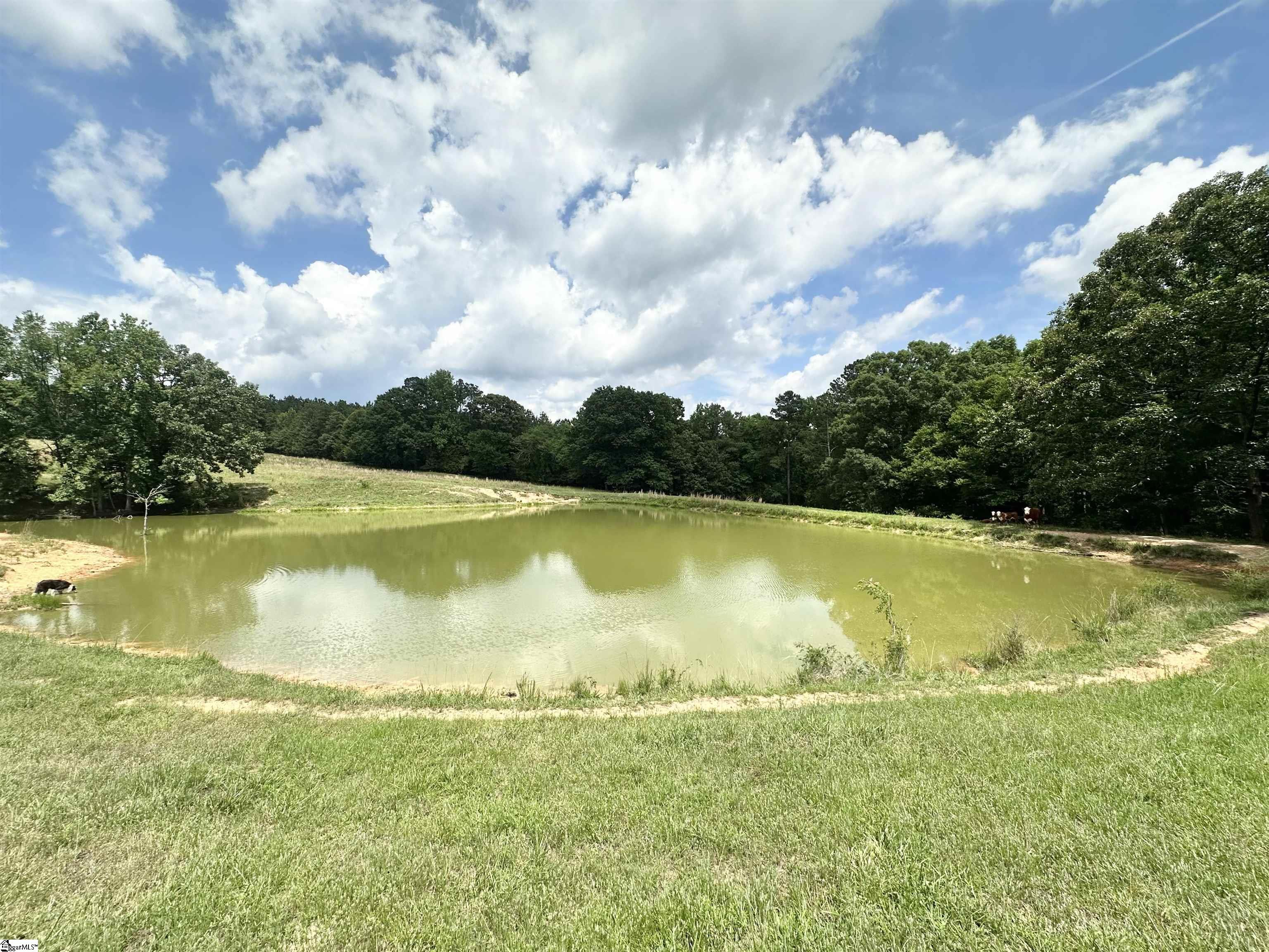 289 Deep Water Road Union, SC 29379 - Photo 47 of 50
