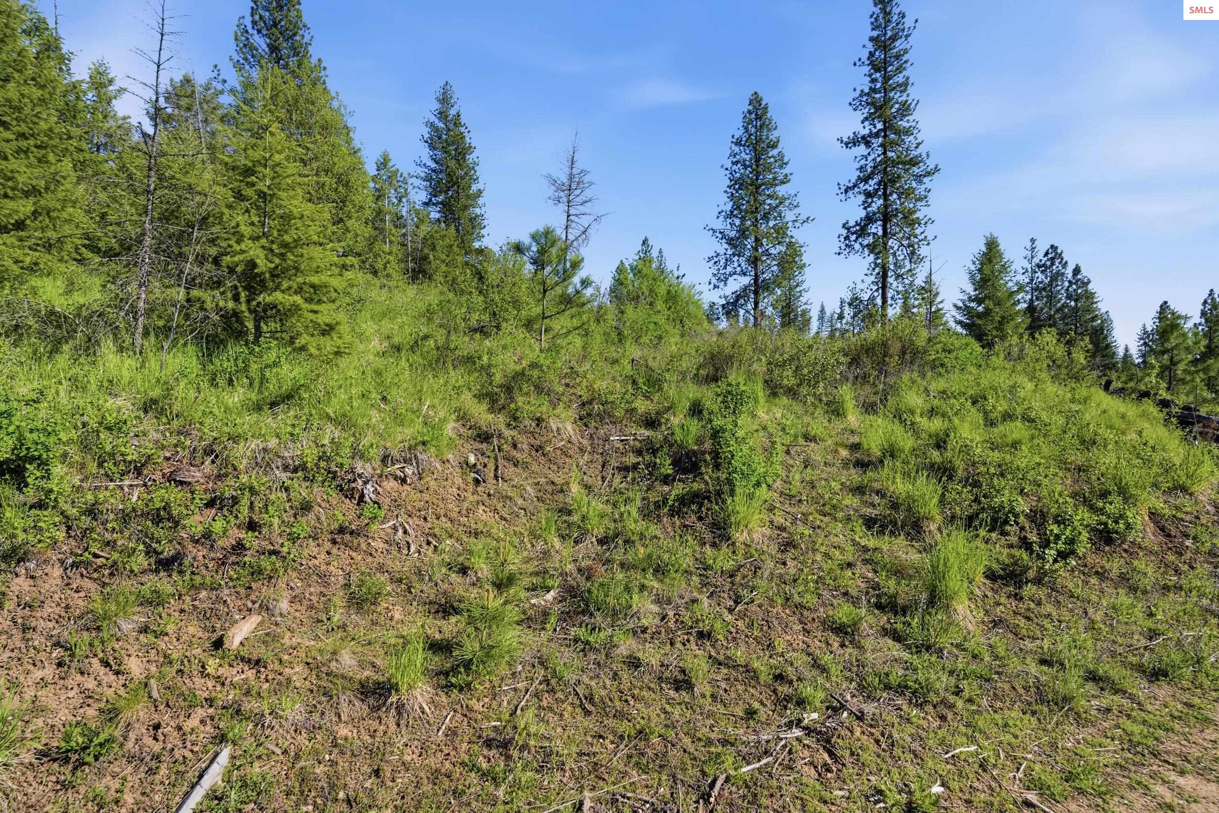 Nka Nka Stone Road Blanchard, ID 83804 - Photo 25 of 29 Gallery Image 25