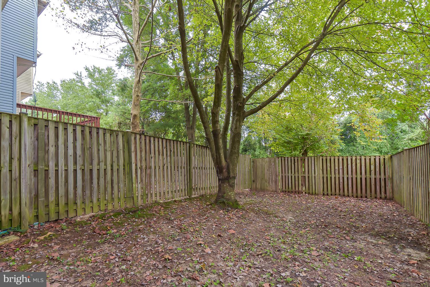6507 Ronald Road Capitol Heights, MD 20743 - Photo 30 of 30 a view of backyard with green space and wooden fence