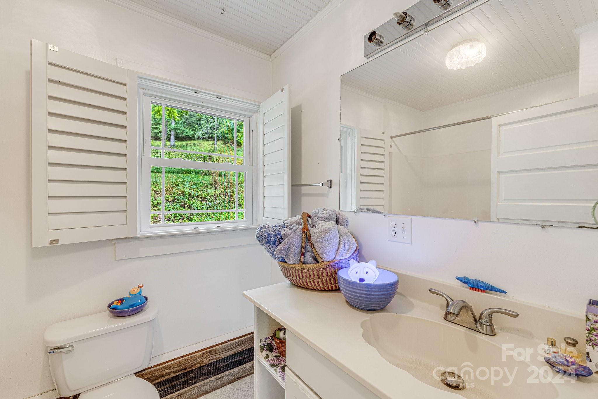 71 Persimmon Lane Canton, NC 28716 - Photo 22 of 41 a bathroom with a sink and a window