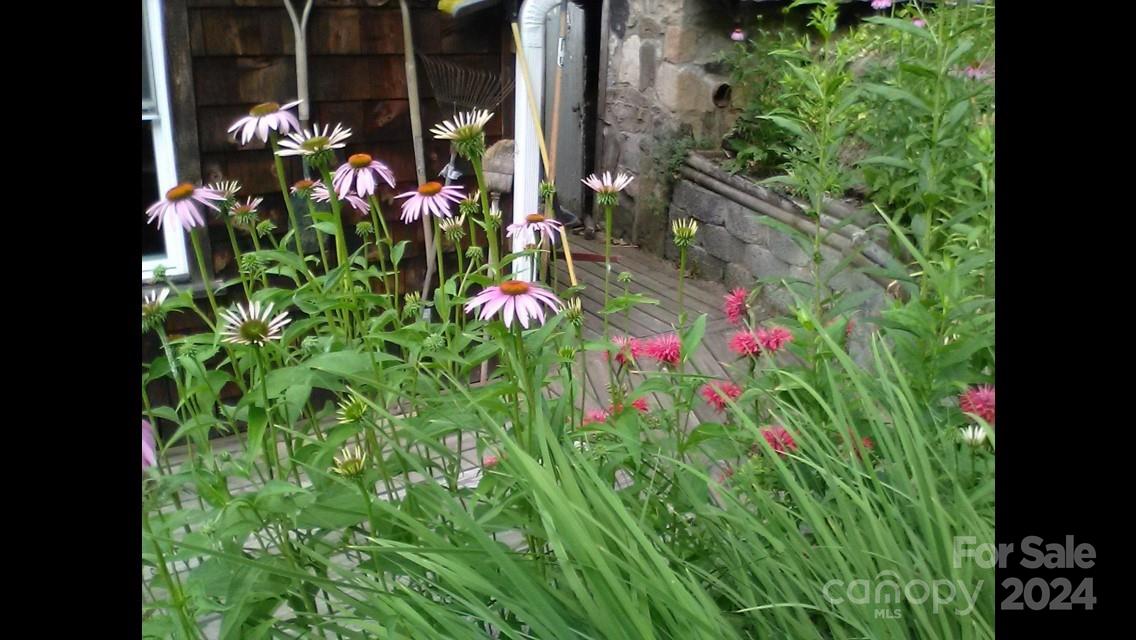 71 Persimmon Lane Canton, NC 28716 - Photo 41 of 41 a view of a flower in a garden