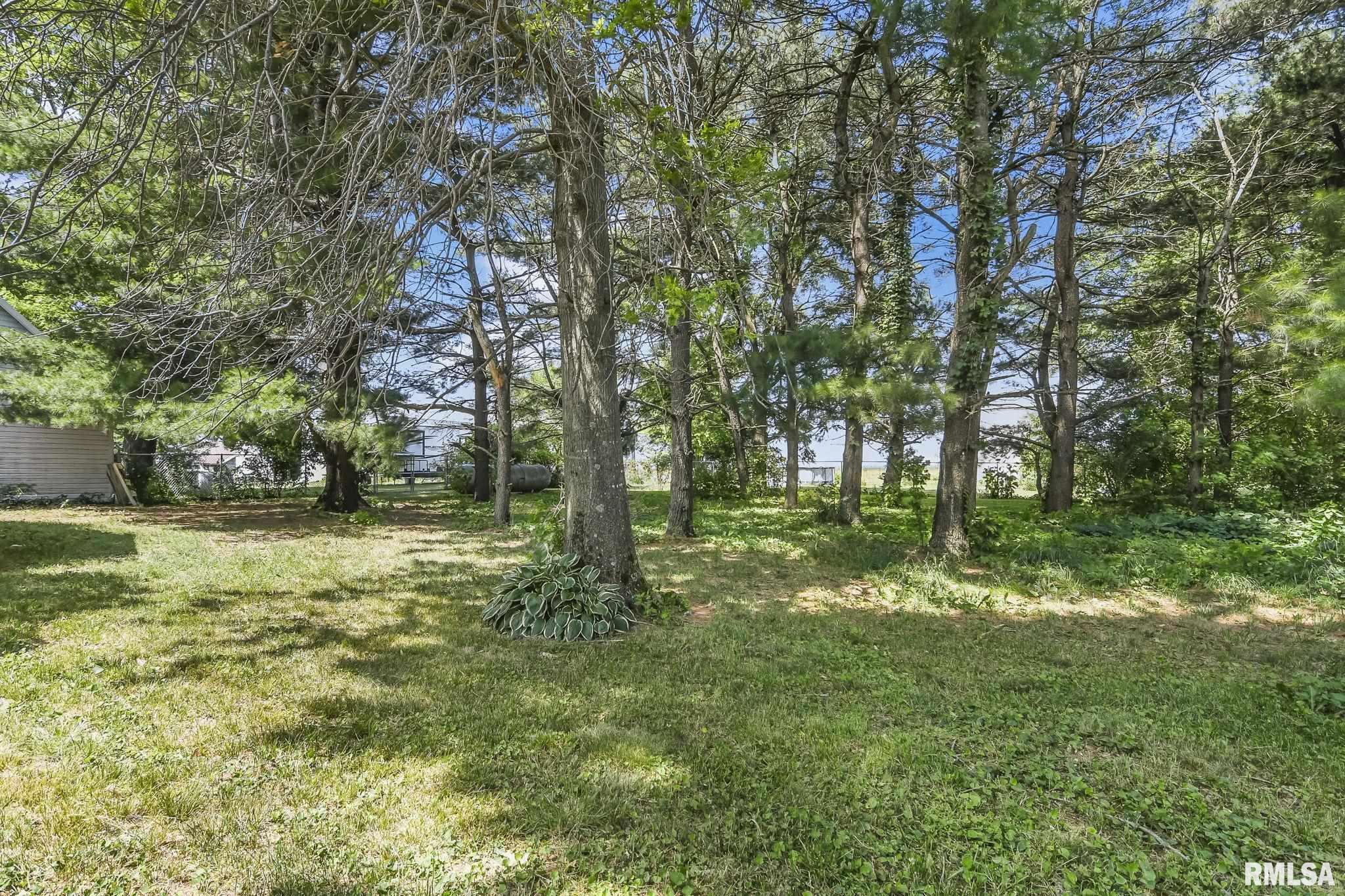 2243 Hog Barn Road Ashland, IL 62612 - Photo 29 of 32