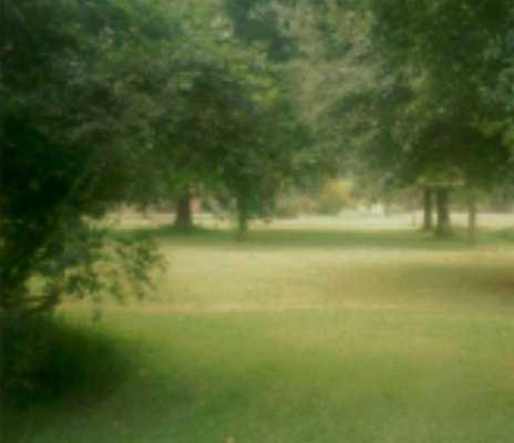 43305 Olive Branch Road Hammond, LA 70403 - Photo 7 of 8 Gallery Image 7