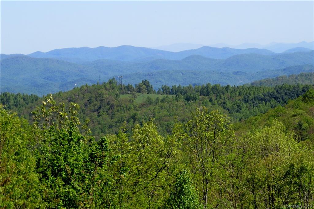 16 Costigan Road Brevard, NC 28712 - Photo 12 of 32 Gallery Image 12
