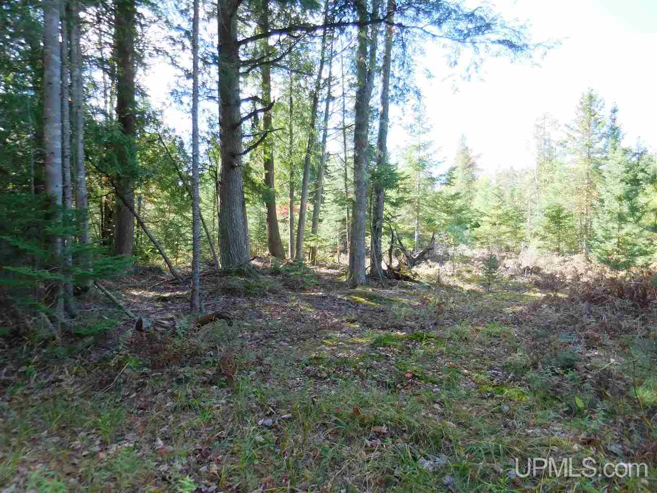 12 Acres Off Rice Road Manistique, MI 49854 - Photo 3 of 14