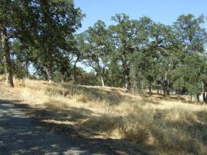 Oak Run Road Oak Run, CA 96069 - Photo 6 of 12 20201203191312911627000000